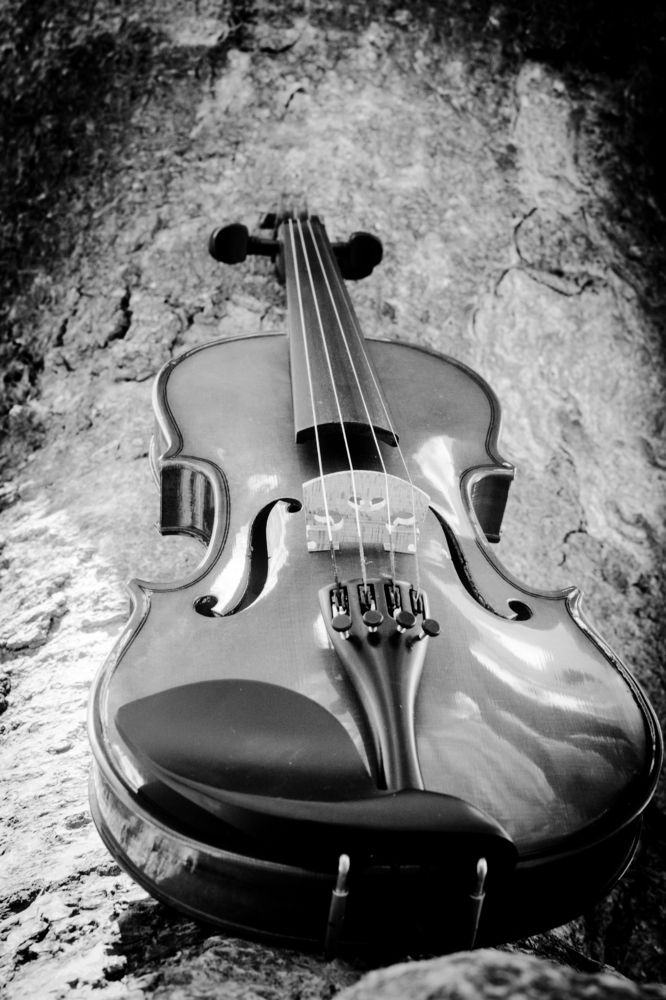 Photograph by Mauricio Santiago Boulogne