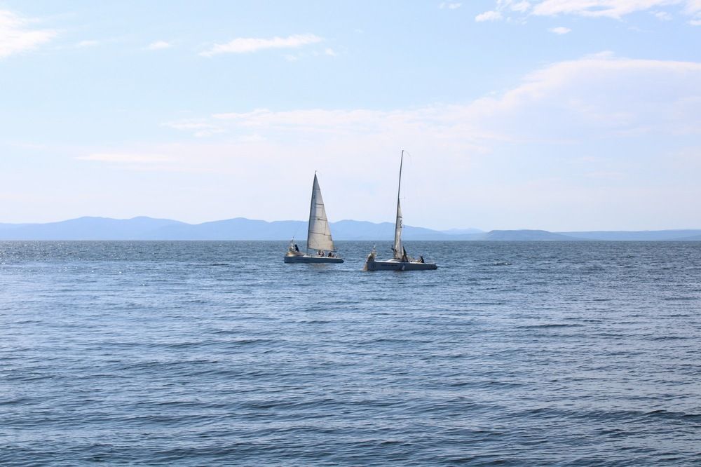 Photograph by Дарья