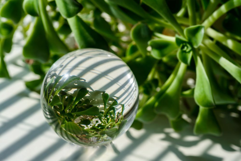 Photograph by Римма Волченко