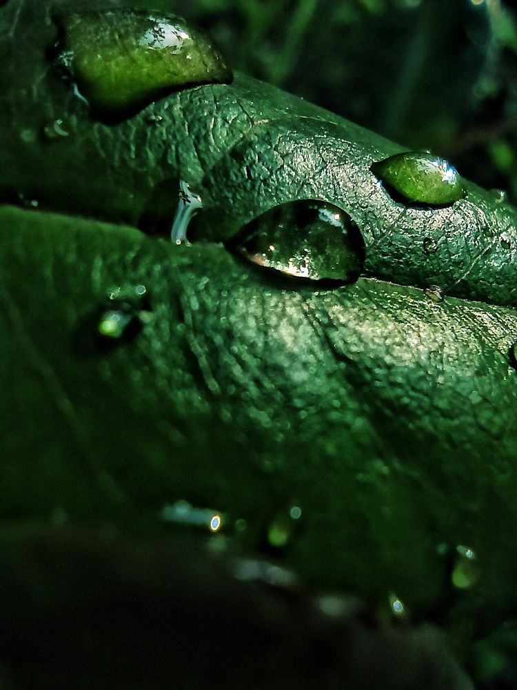 Photograph by Евгения Акишева