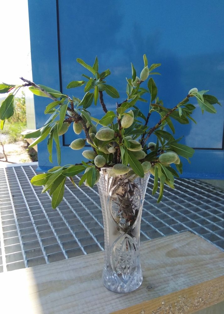 Photograph by Татьяна Ситникова