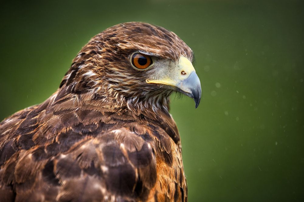 Photograph by Lorga Nuno