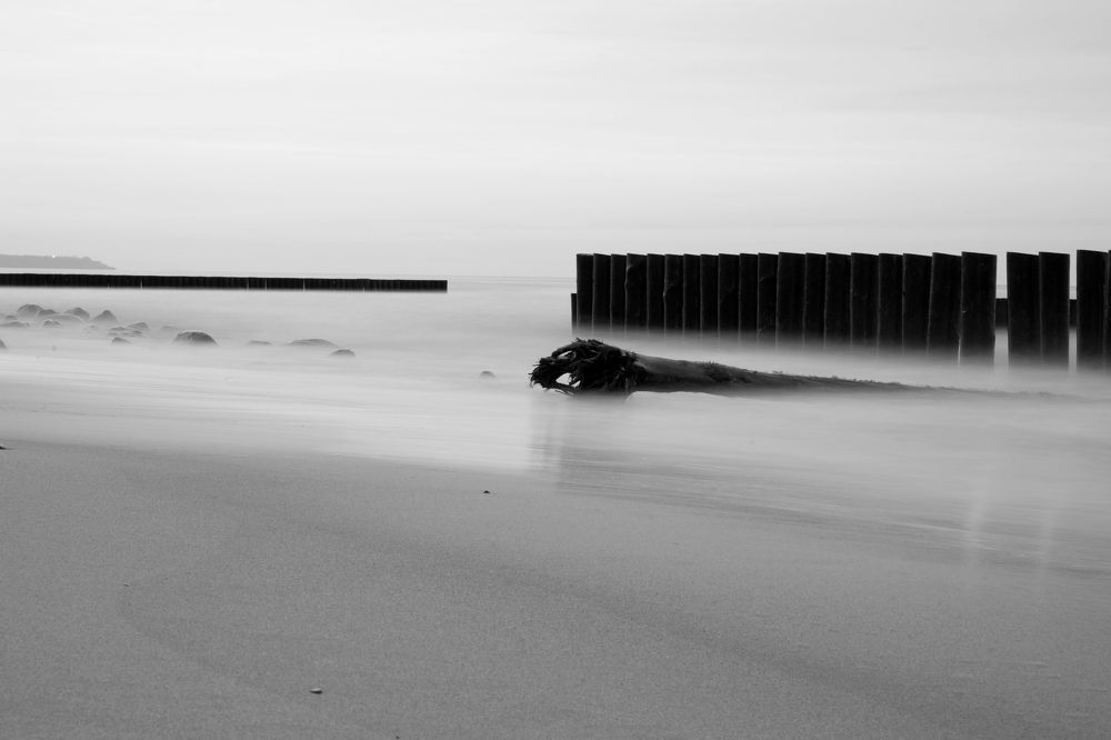 Photograph by Максим Бычин