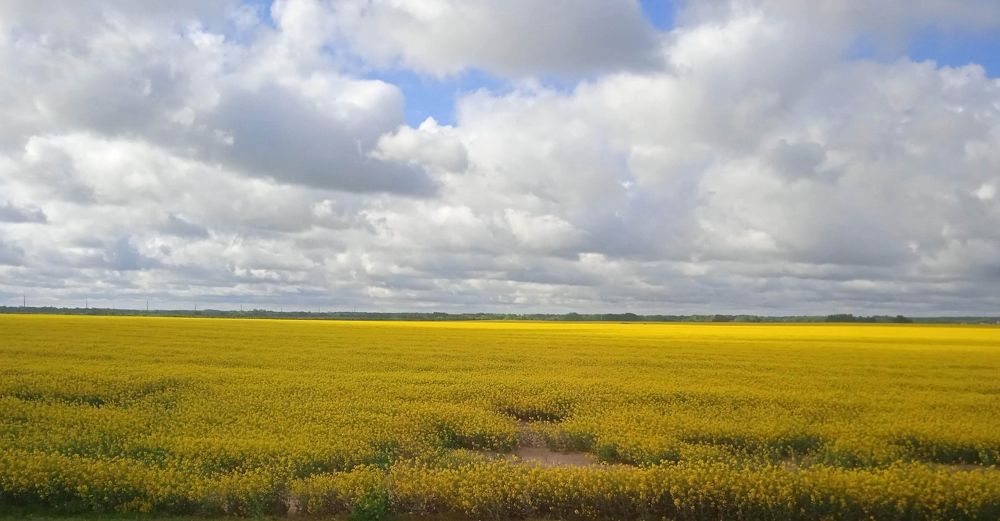 Photograph by Наталия Колемасова