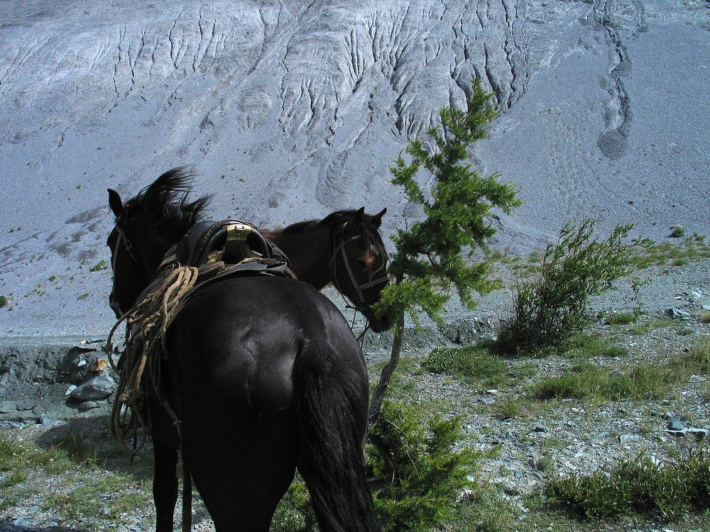 Photograph by Дмитрий Ткаченко