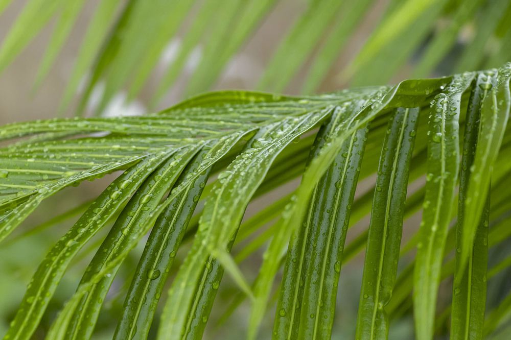 Photograph by Evgeniia Iakimenko