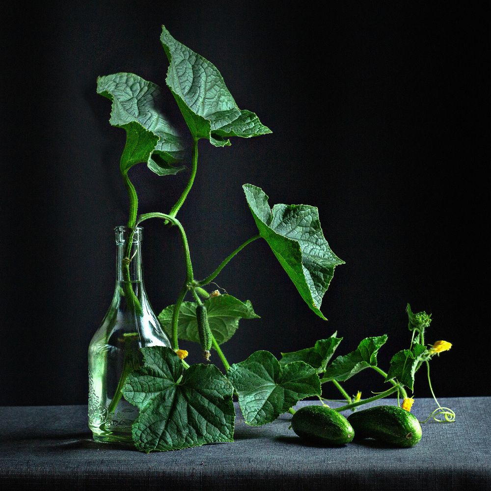 Photograph by Ирина Лаврова