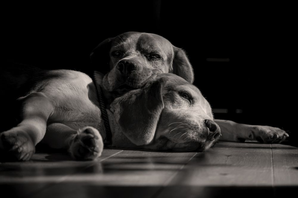 Без друга...