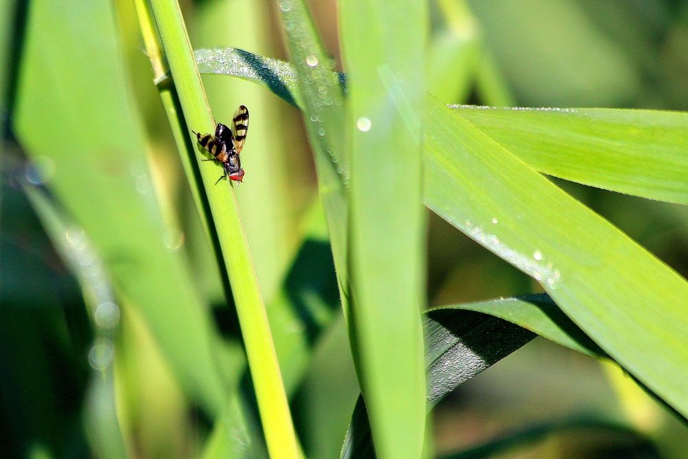 Photograph by Александр Велигура