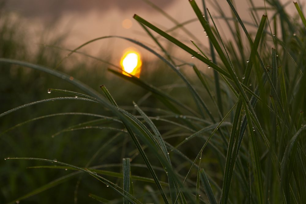 Photograph by Anna Gapanovich