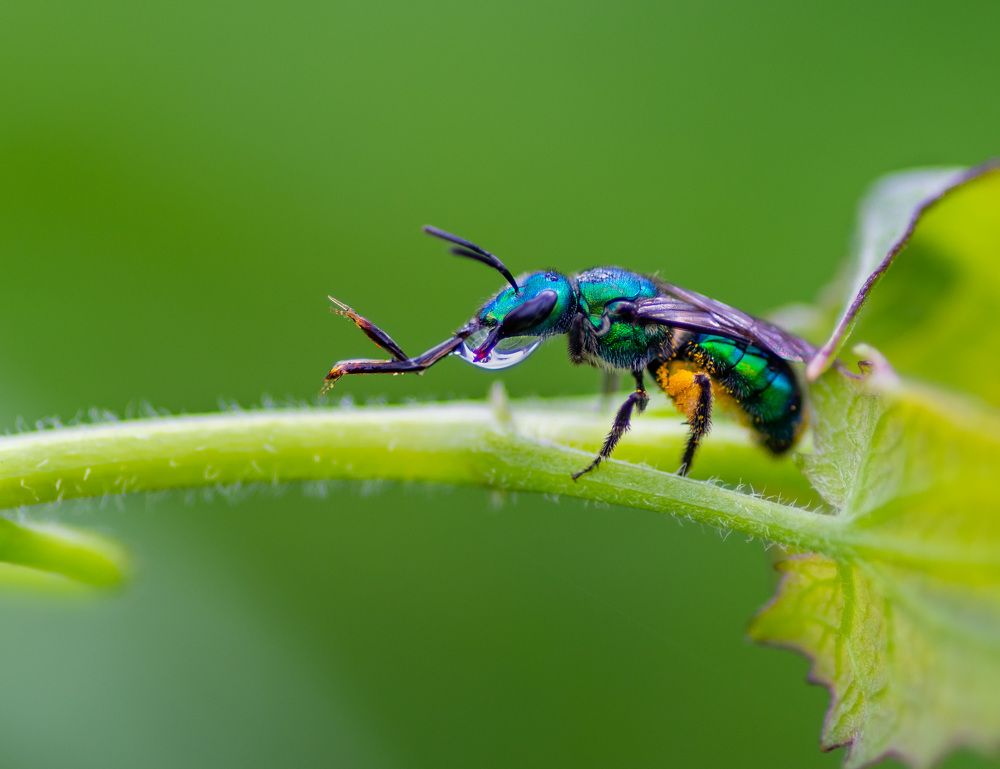 Photograph by Deryl Varela Cienfuegos