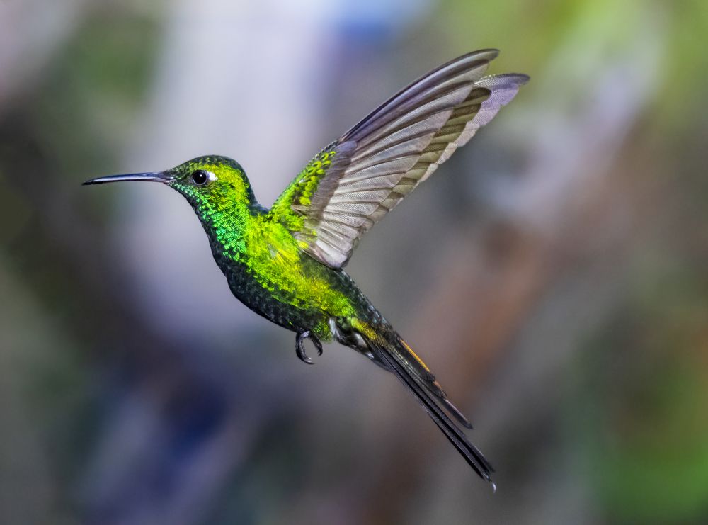 Photograph by Deryl Varela Cienfuegos