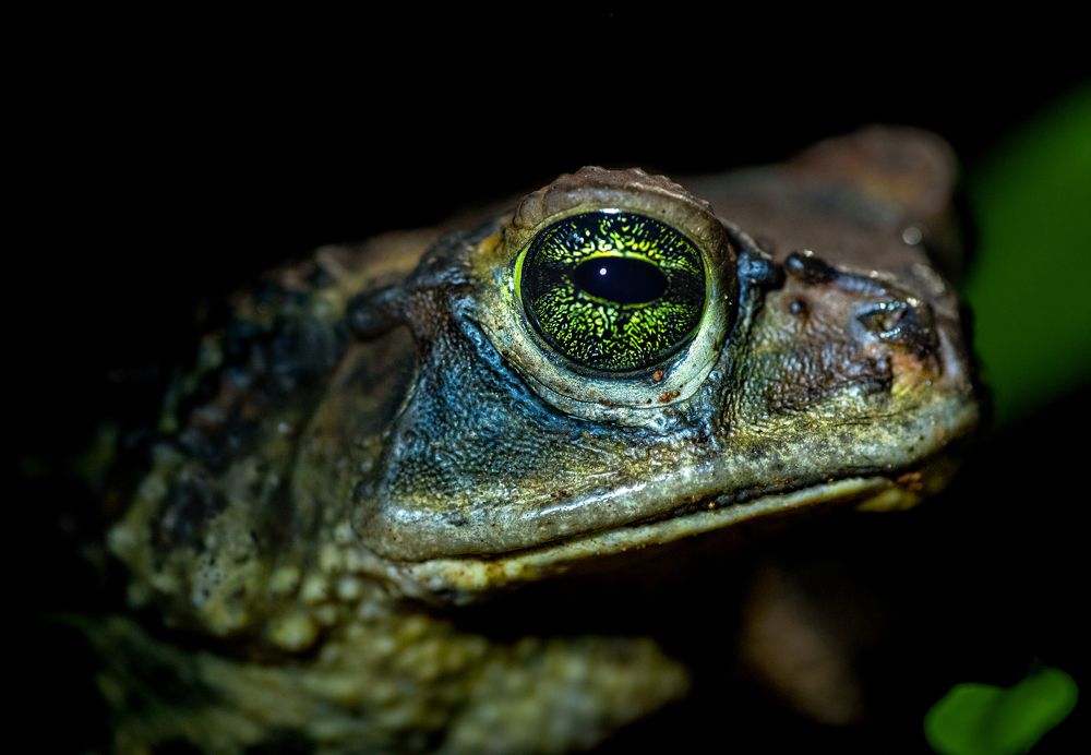 Photograph by Deryl Varela Cienfuegos