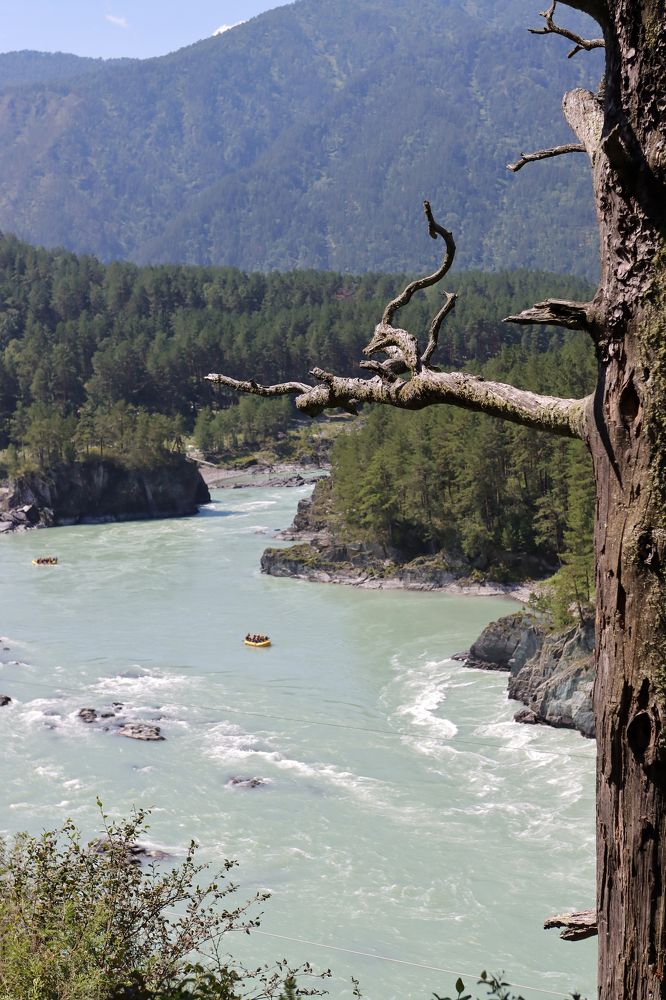 Photograph by Денис Бочаров