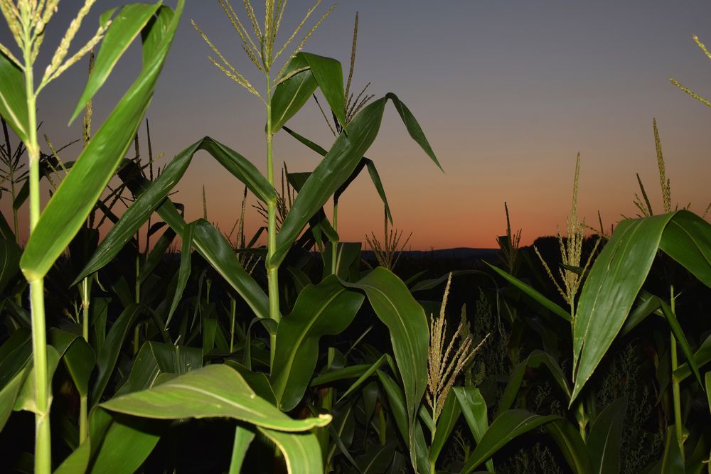 Photograph by Татьяна Дорожко