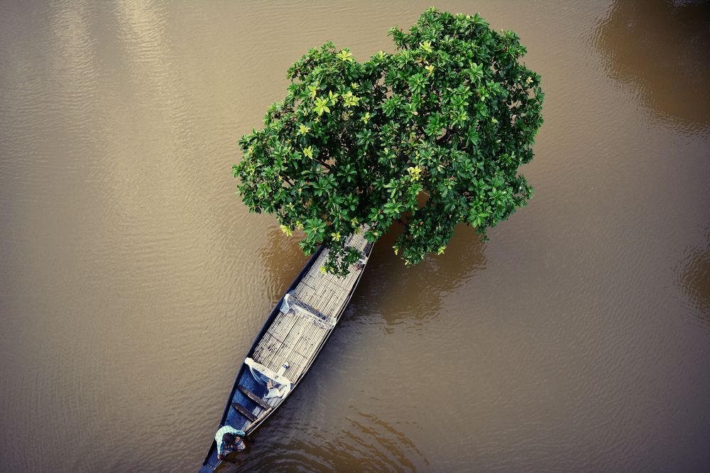 Photograph by Nader Rimon