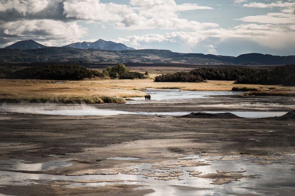 Photograph by Veronika Trubnikova