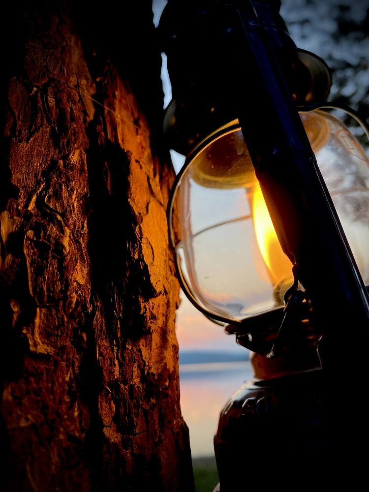 Photograph by Алина Соколова