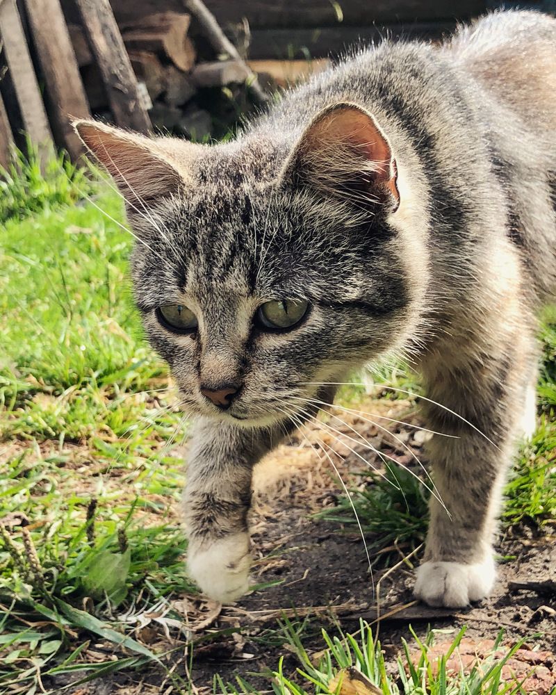 Photograph by Halina Mitsevich