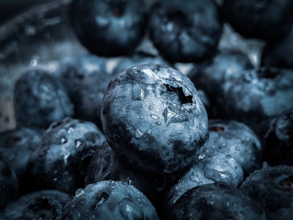 Photograph by Bojana Vein