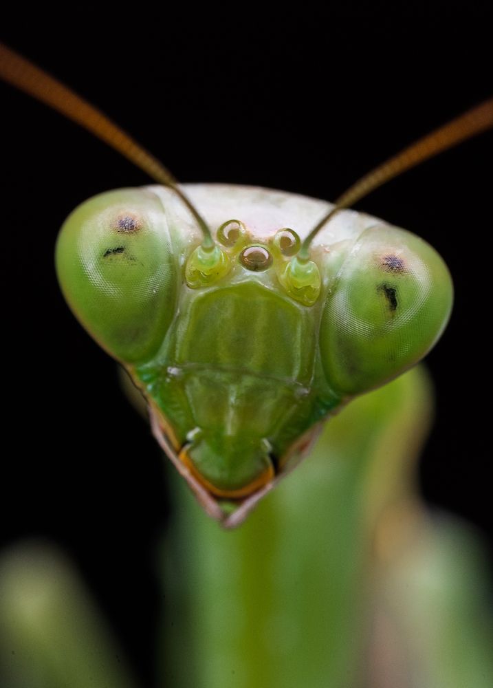 Photograph by Dhrubajyoti Bhattacharyya