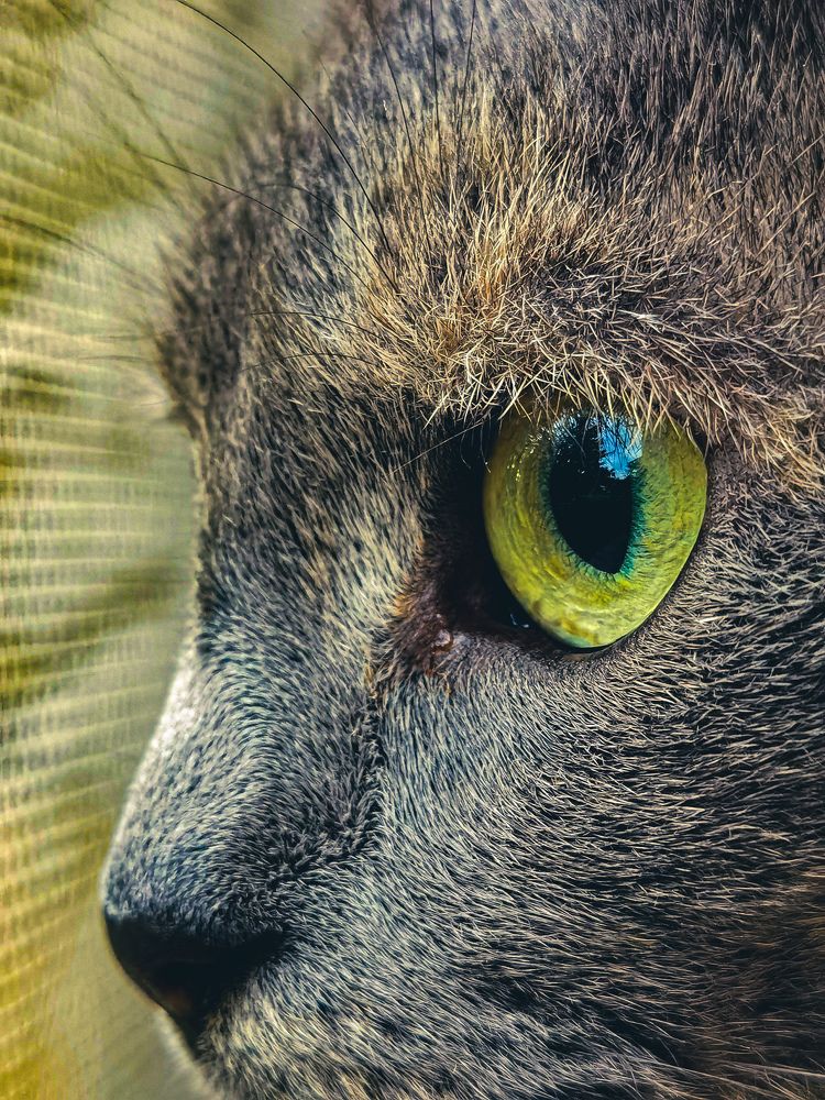 Photograph by Bojana Vein