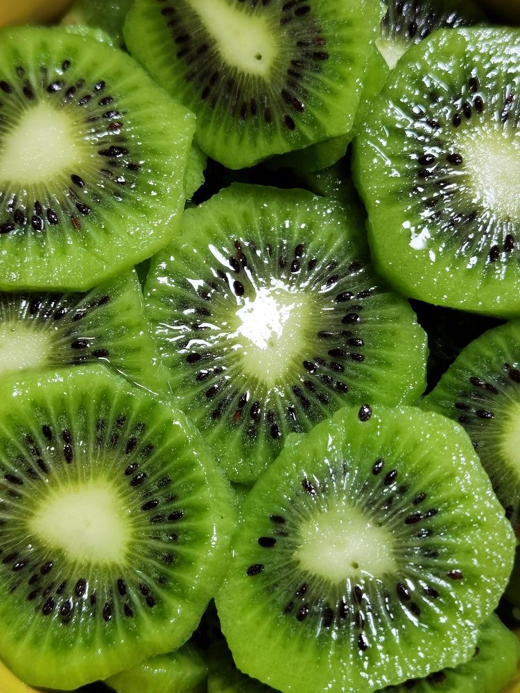 Photograph by Bojana Vein