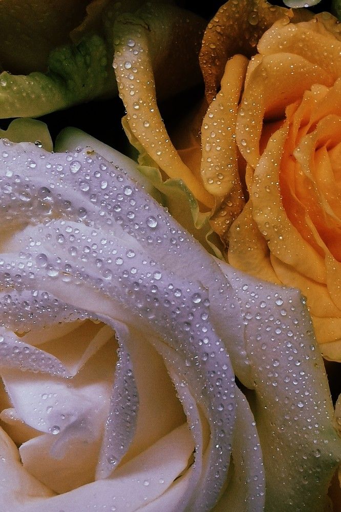 Фотография автора Madina Musaeva