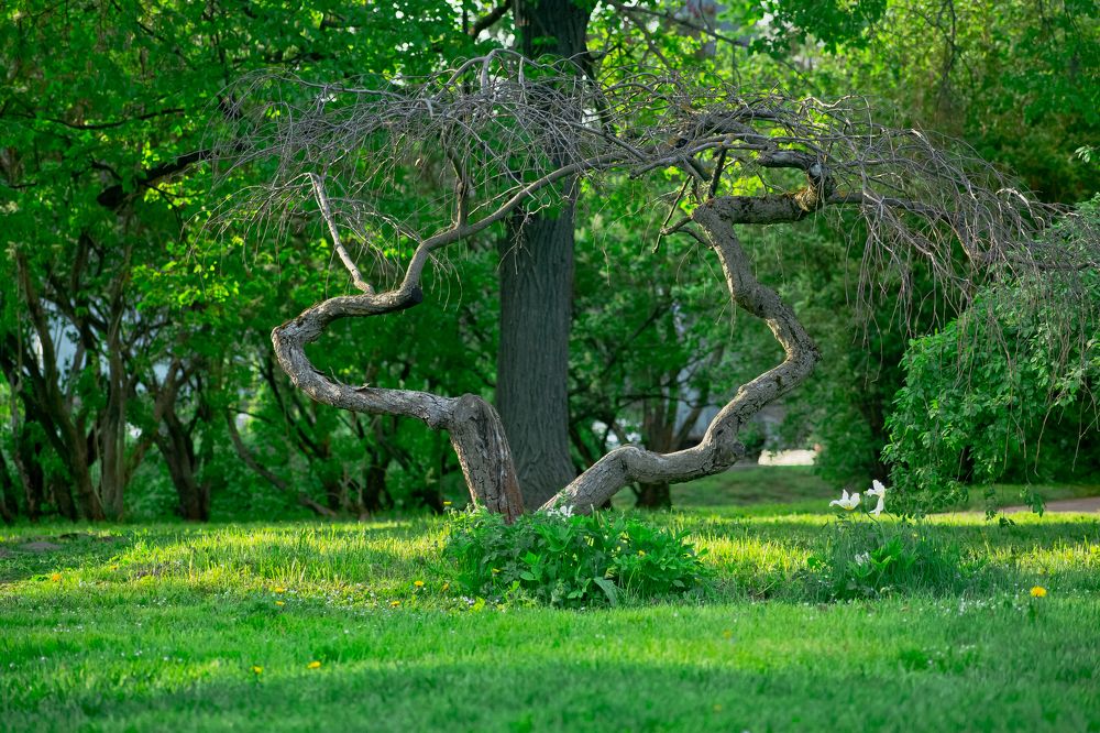 Photograph by Дмитрий Жижин