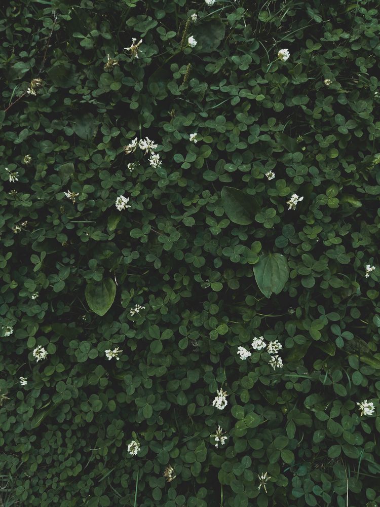 Photograph by Анна Вербилова