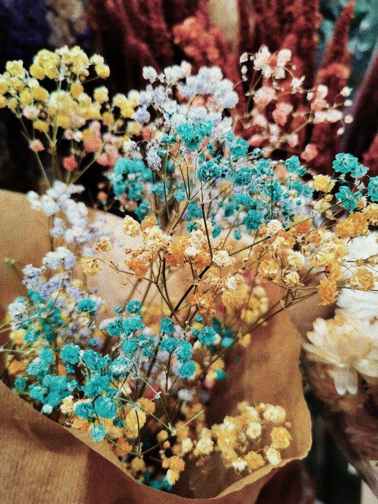 Фотография автора Madina Musaeva