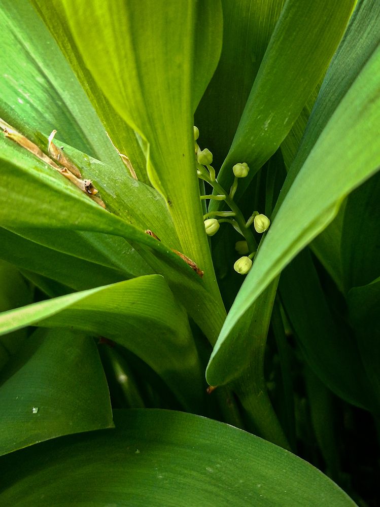 Photograph by Рина Хуртова