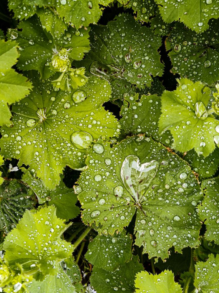 Photograph by Рина Хуртова