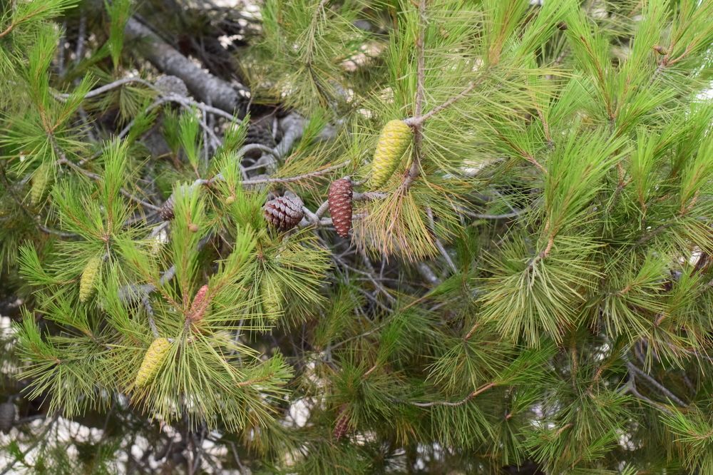 Photograph by Marina Eremin