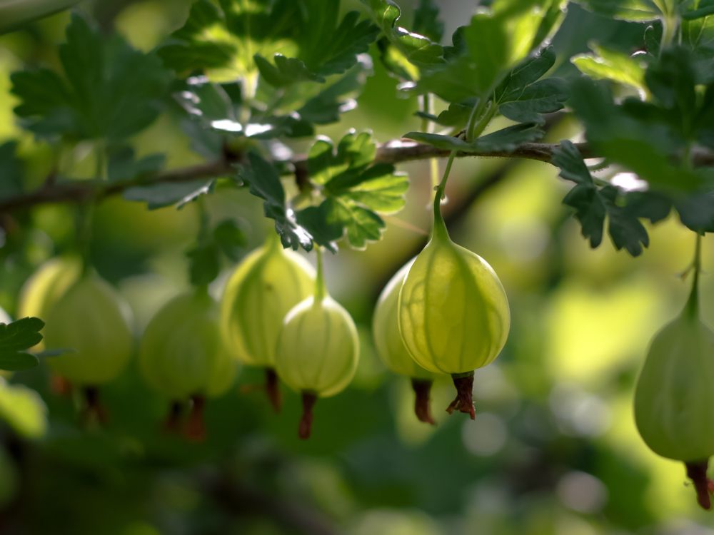 Photograph by Татьяна Кравченко