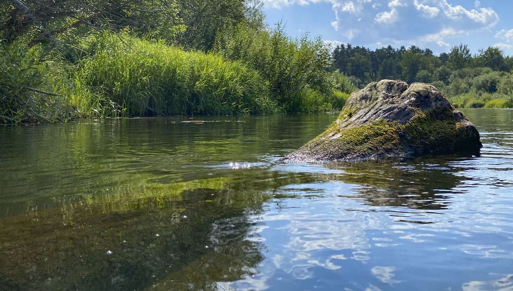 Photograph by Анна Панеева