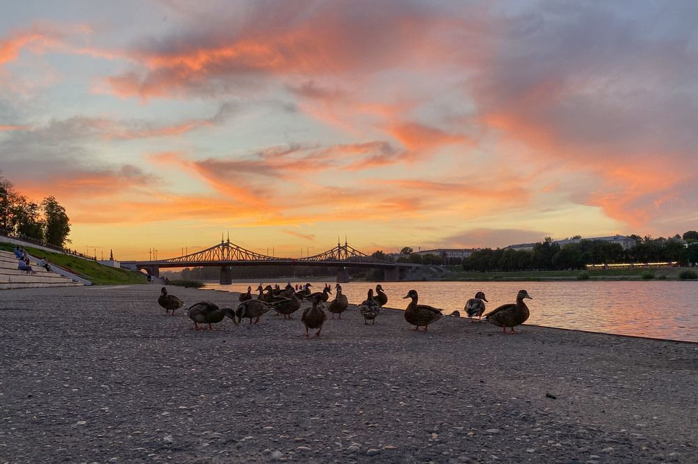 Photograph by Анна Панеева