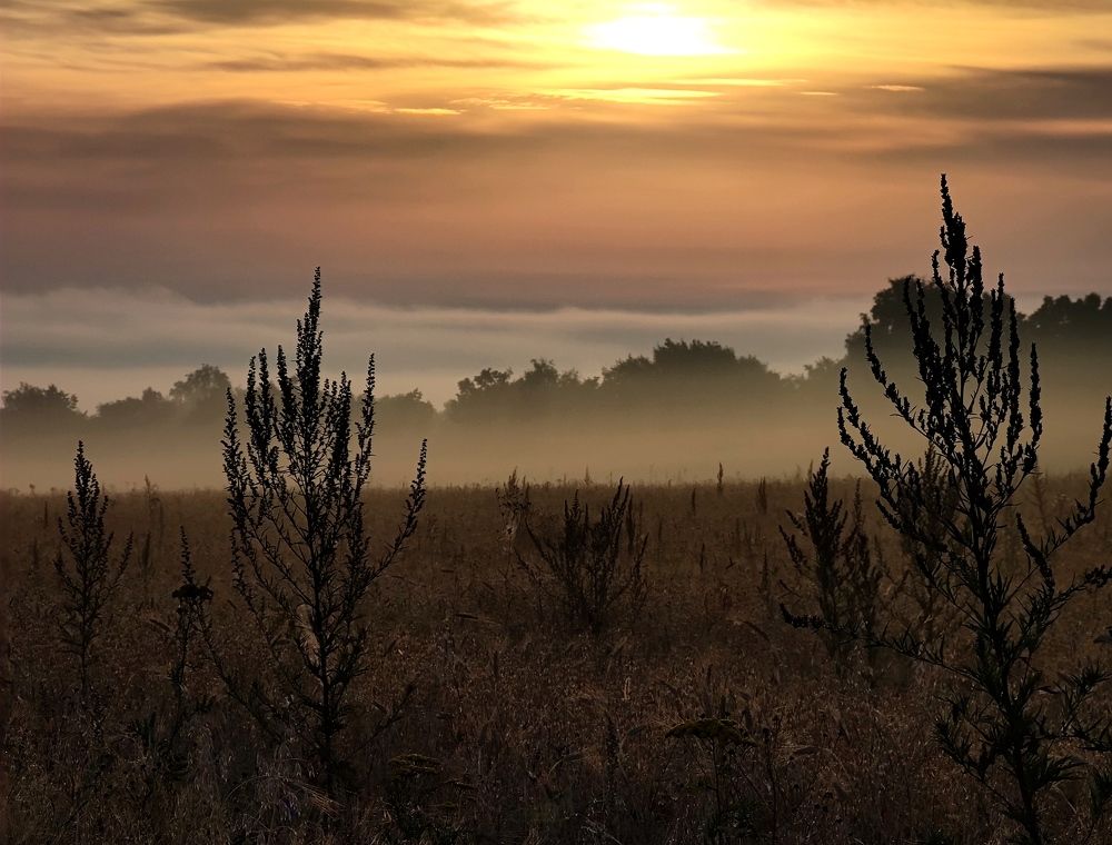 Photograph by Екатерина Харитонова