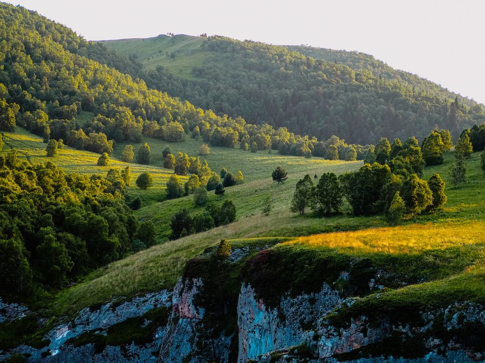 Photograph by Alexandra German