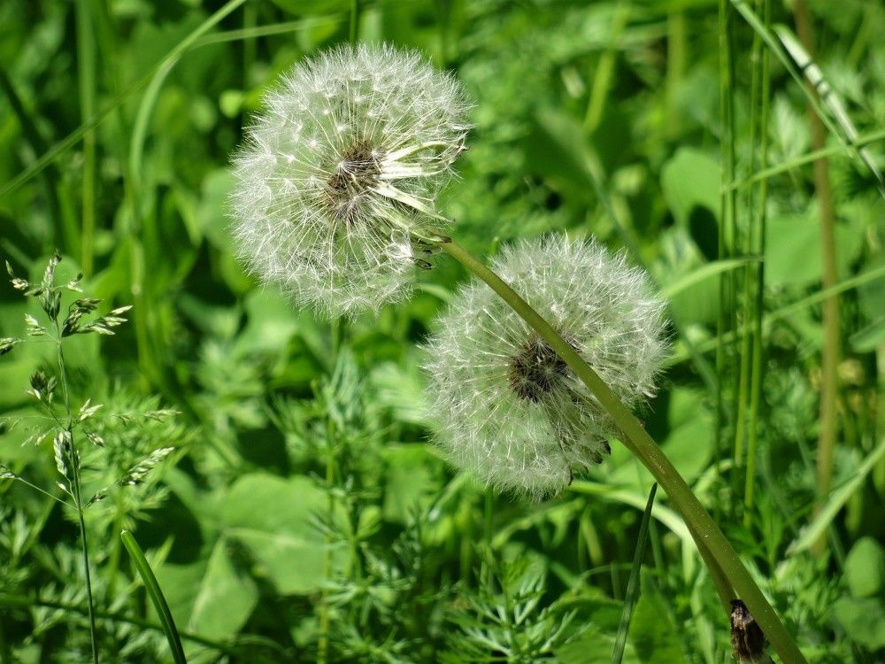 Photograph by Марина Раткун