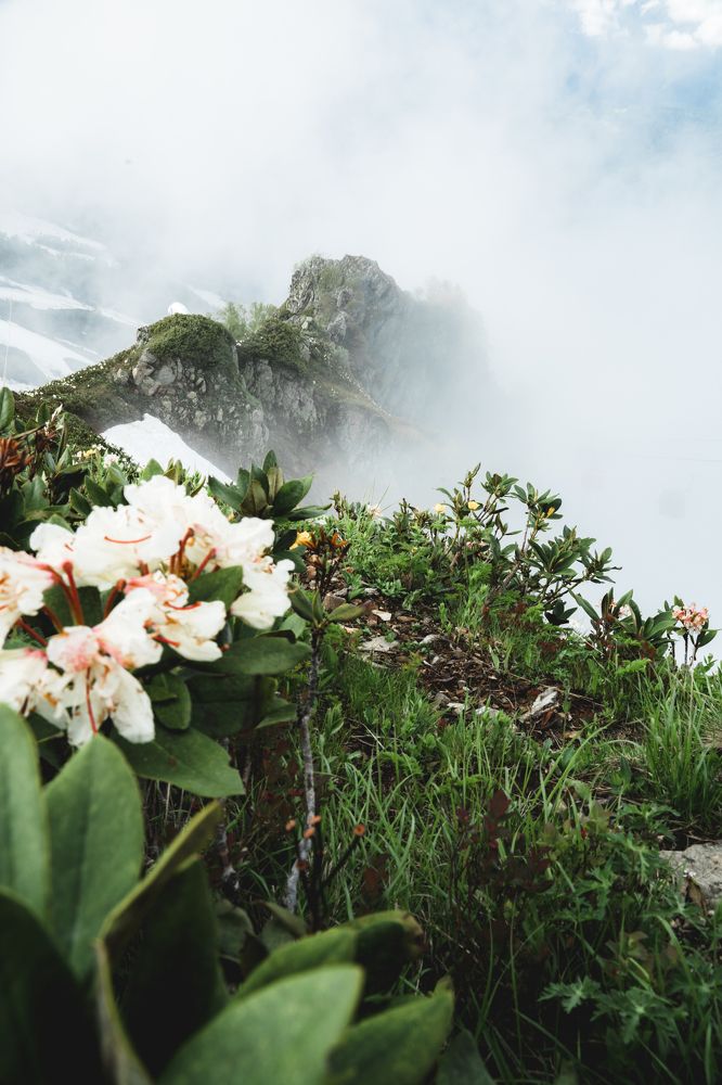 Photograph by Илья Иванов