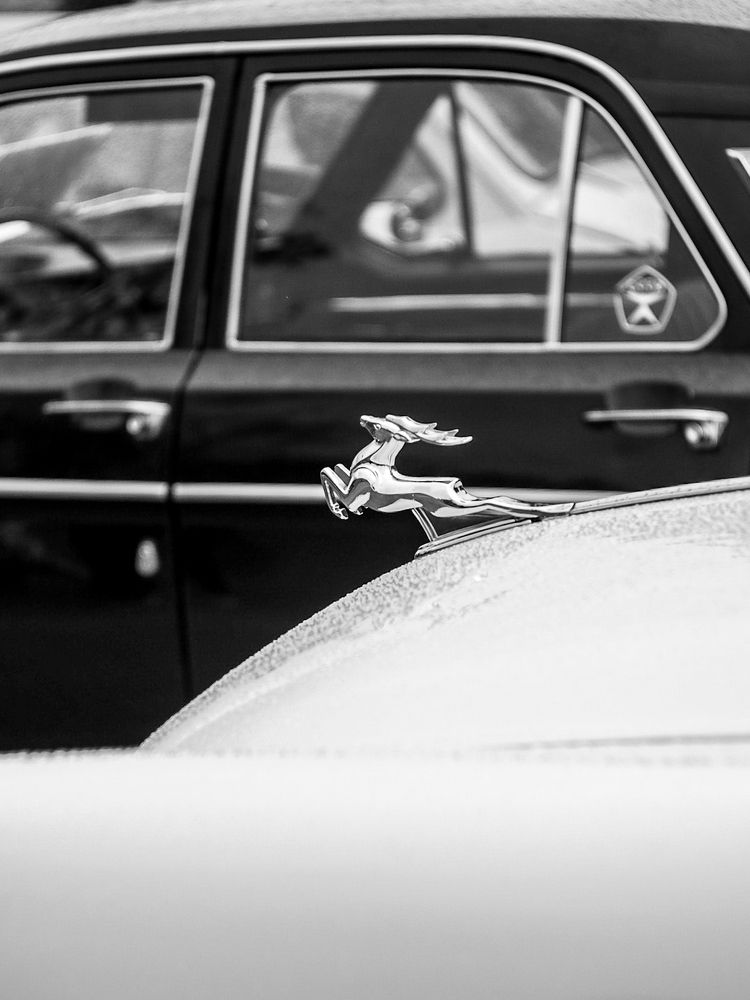 Photograph by Татьяна Шевченко