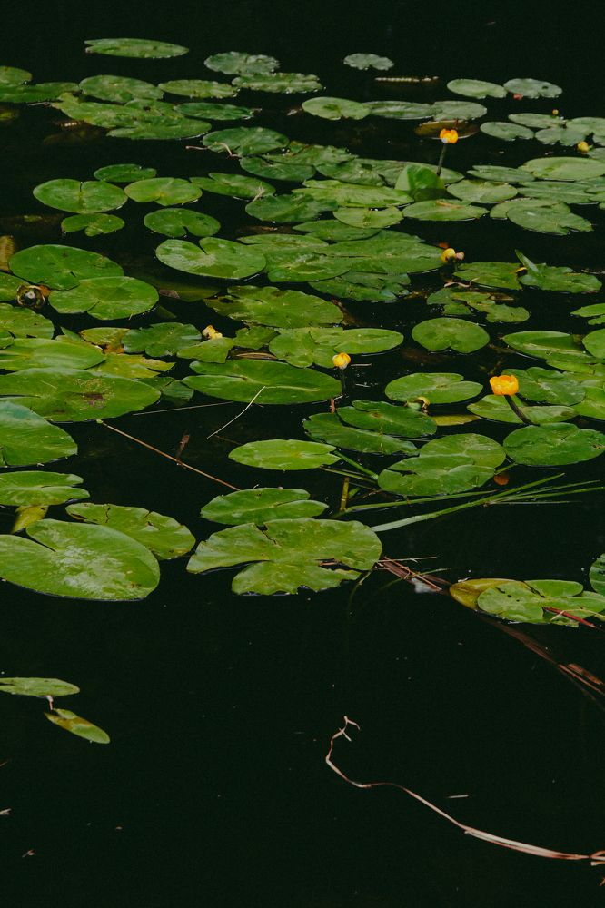 Photograph by Василина Окладовикова