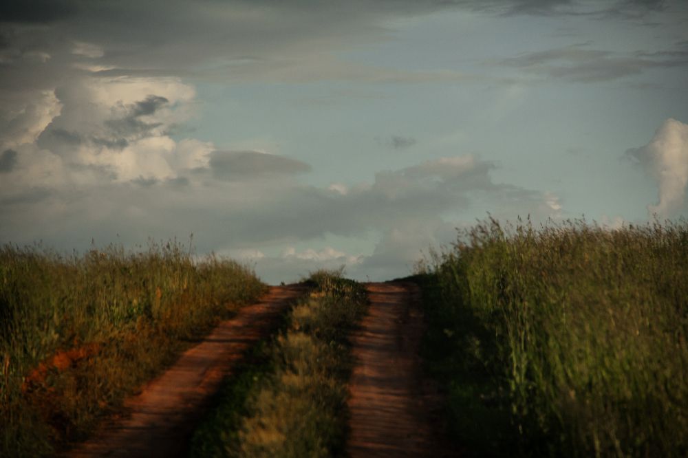 Photograph by Василина Окладовикова