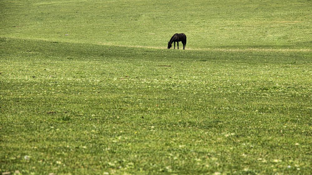 Photograph by MARJAN TAGHIPOUR