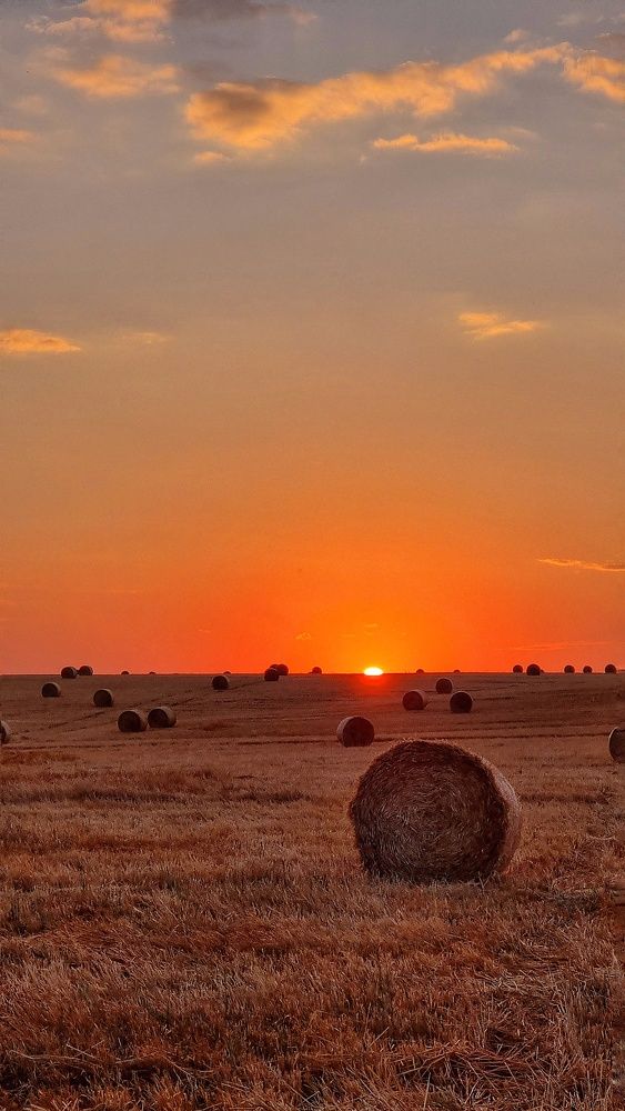 Photograph by Альбина Гайфуллина