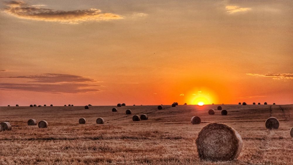 Photograph by Альбина Гайфуллина