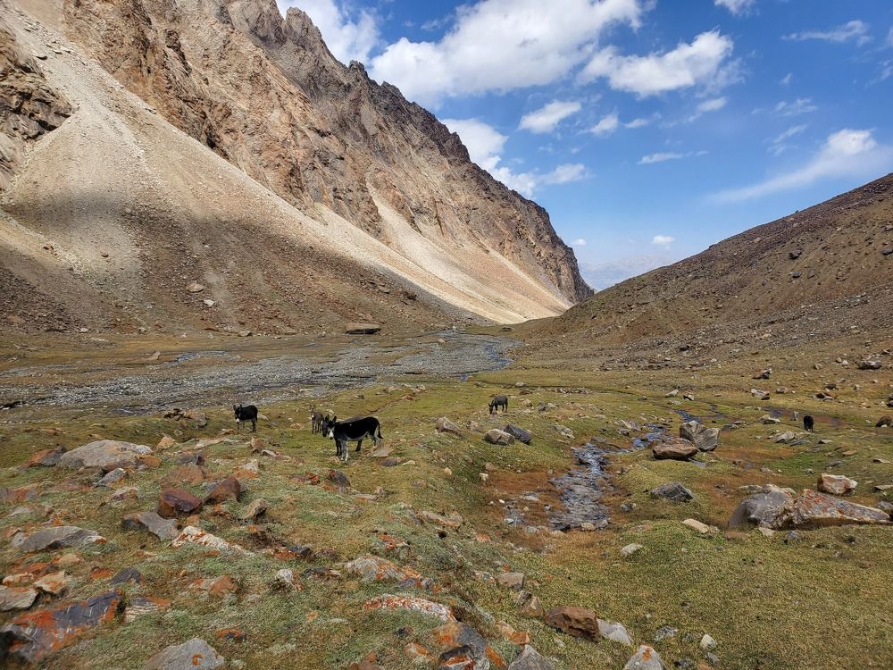 Photograph by Ольга Антохина