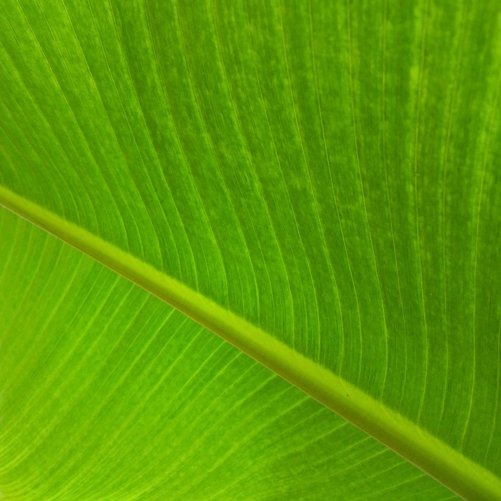 Photograph by Elena Lopatina