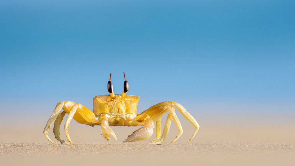 Photograph by Manoj Kumar